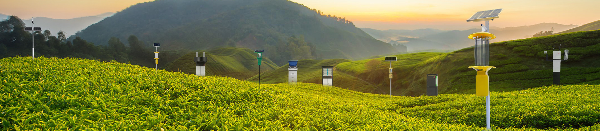 移動式水肥機_蟲情測報燈_太陽能高空測報燈_太陽能殺蟲燈-新鄉天意新能源